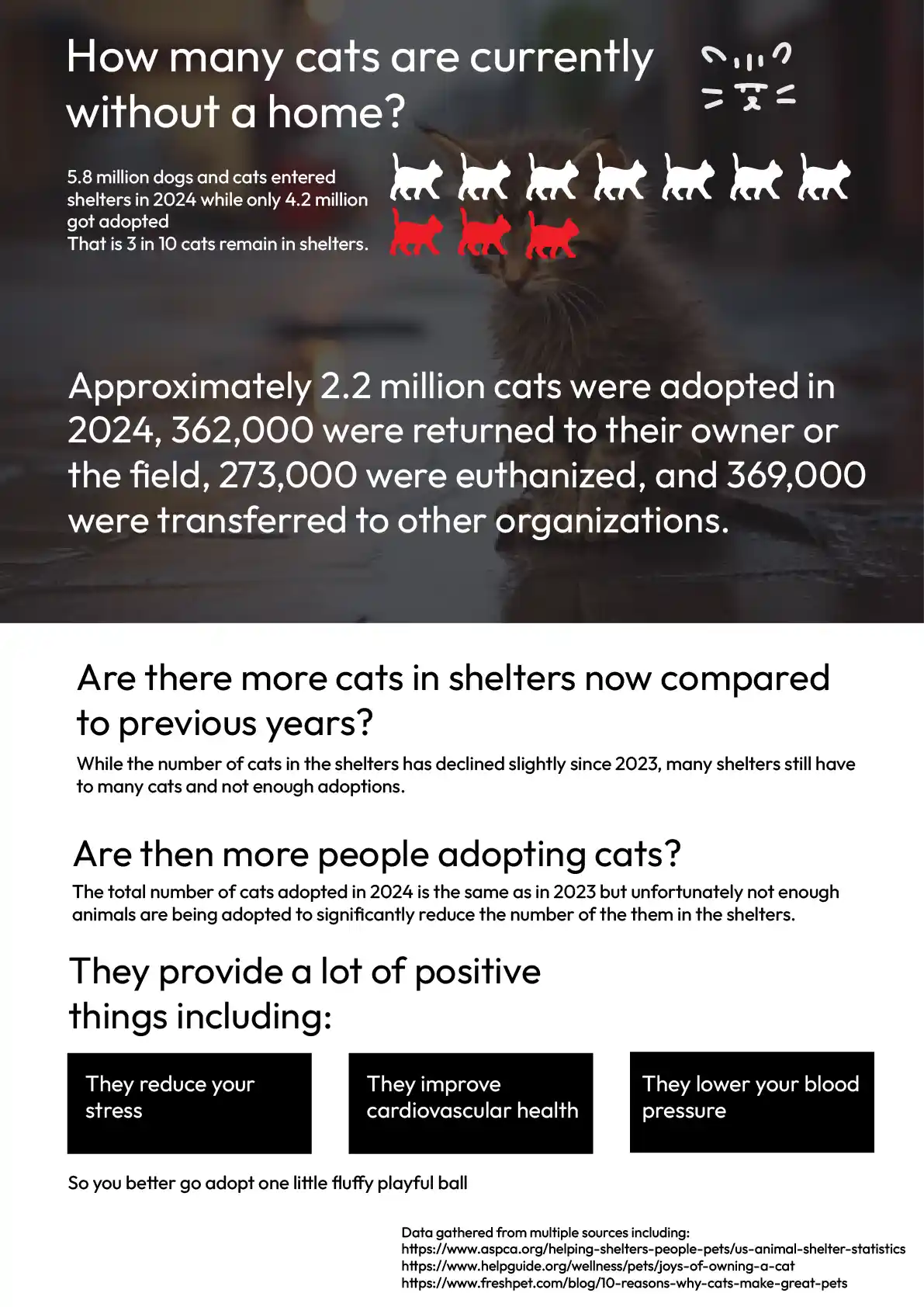 Cat Infographic Poster